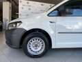 Volkswagen Caddy 2.0 TDI 102 CV DSG Furgone Business Bianco - thumbnail 15