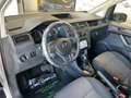 Volkswagen Caddy 2.0 TDI 102 CV DSG Furgone Business Bianco - thumbnail 8