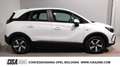 Opel Crossland 1.2 Turbo 12V 110 CV Start&Stop Edition Bianco - thumbnail 2