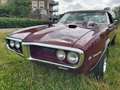 Pontiac Firebird cabriolet Brun - thumbnail 13
