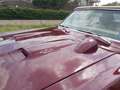 Pontiac Firebird cabriolet Brun - thumbnail 31