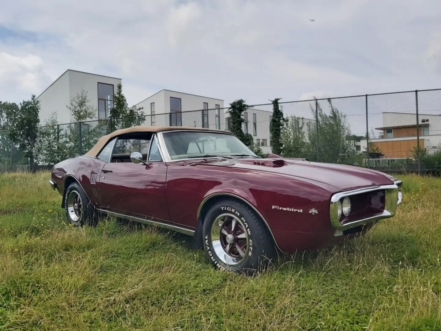 Pontiac Firebird cabriolet Bruin - 2