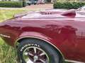 Pontiac Firebird cabriolet Brun - thumbnail 20