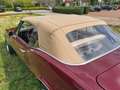Pontiac Firebird cabriolet Brun - thumbnail 8