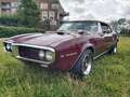 Pontiac Firebird cabriolet Brun - thumbnail 11