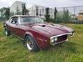 Pontiac Firebird cabriolet Brun - thumbnail 10