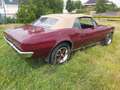 Pontiac Firebird cabriolet Brun - thumbnail 35