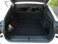 BMW X2 M 35i xDrive Head-Up HK HiFi DAB LED Shz Blanco - thumbnail 30