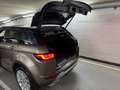Land Rover Range Rover Evoque Evoque 2.0 TD4 SE Dynamic |Aut.|Xenon|Facelift| Braun - thumbnail 19