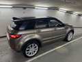 Land Rover Range Rover Evoque Evoque 2.0 TD4 SE Dynamic |Aut.|Xenon|Facelift| Braun - thumbnail 5