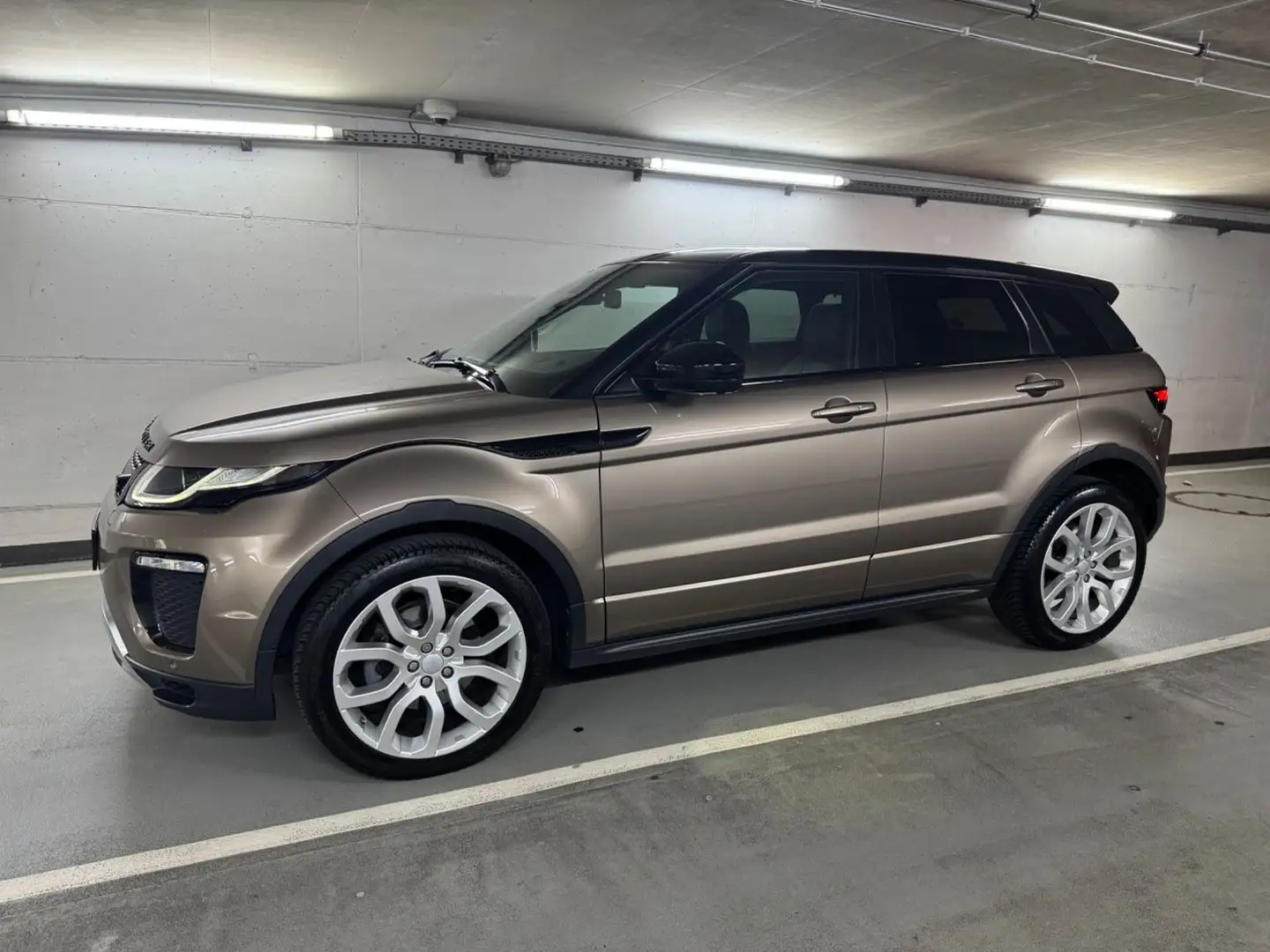 Land Rover Range Rover Evoque Evoque 2.0 TD4 SE Dynamic |Aut.|Xenon|Facelift| Braun - 2