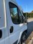Fiat Ducato Ducato L2 250.5D1.0 +288 Blanc - thumbnail 4