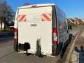 Fiat Ducato Ducato L2 250.5D1.0 +288 Blanc - thumbnail 2