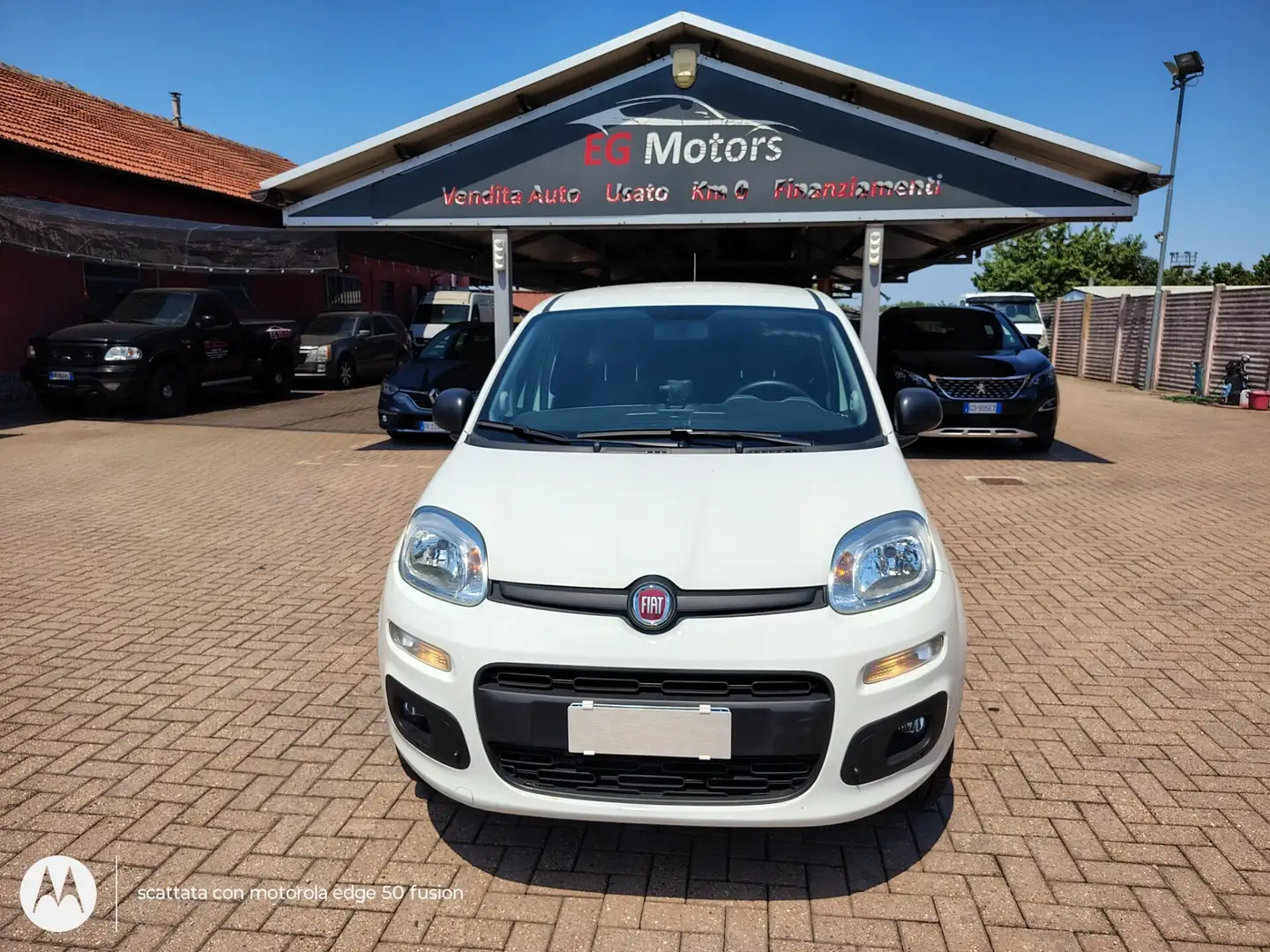 Fiat Panda 0.9 TwinAir Turbo S&S 4x4 Pop Van 2 posti Wit - 2