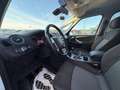 Ford Galaxy Business Weiß - thumbnail 17