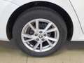 Skoda Octavia Combi Style 2.0 TDI DSG Pano*AHK*PDC*SH Білий - thumbnail 12
