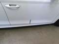 Skoda Octavia Combi Style 2.0 TDI DSG Pano*AHK*PDC*SH Білий - thumbnail 29