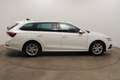 Skoda Octavia Combi Style 2.0 TDI DSG Pano*AHK*PDC*SH Білий - thumbnail 7