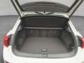 Volkswagen T-Roc R 2.0 TSI 4MOTION DSG BeatsAudio IQ.Light Weiß - thumbnail 5