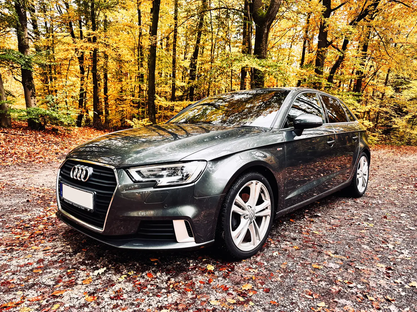 Audi A3 A3 2.0 TDI Sportback S-Line Grau - 1