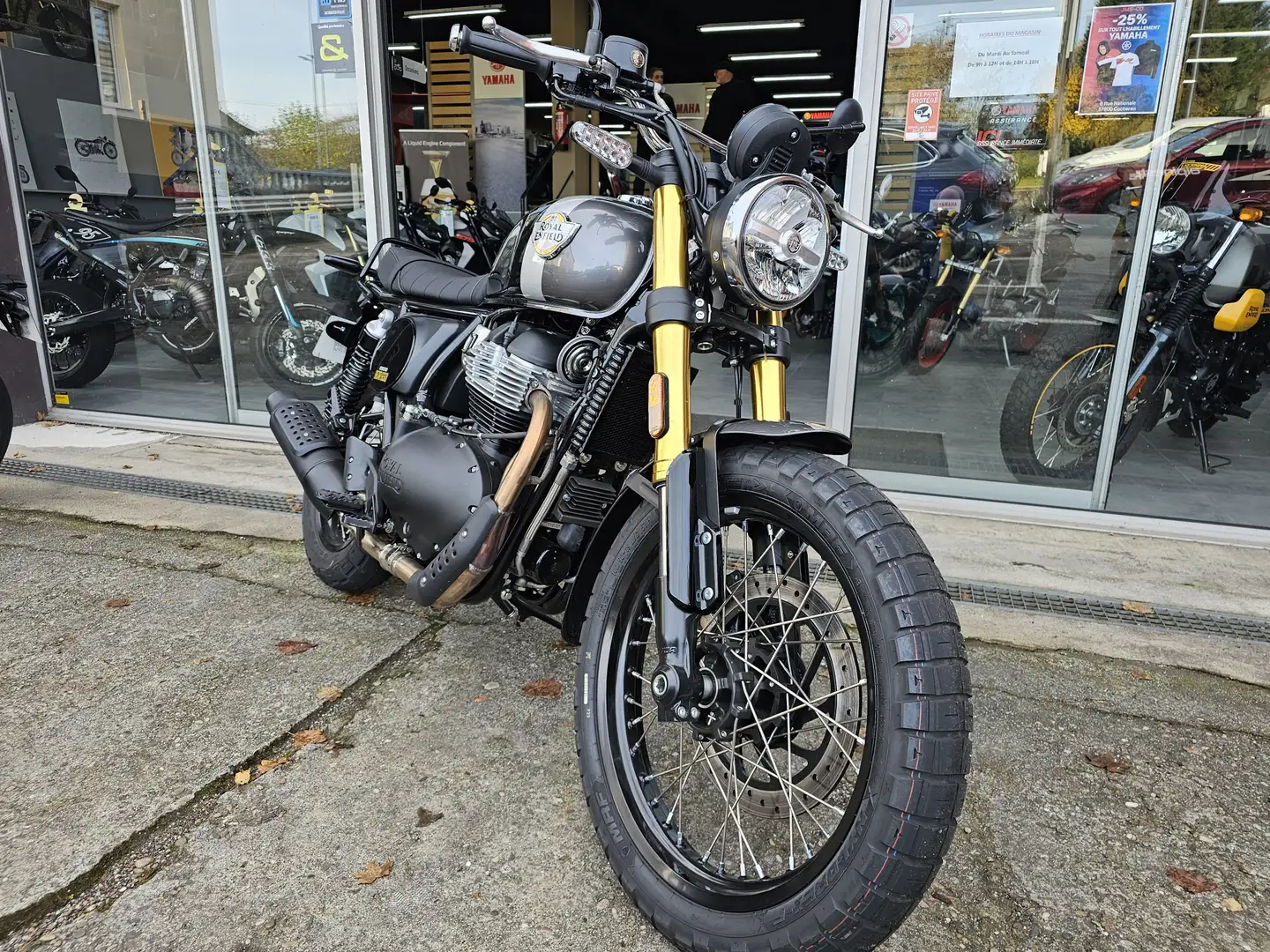 Royal Enfield Gris - 2