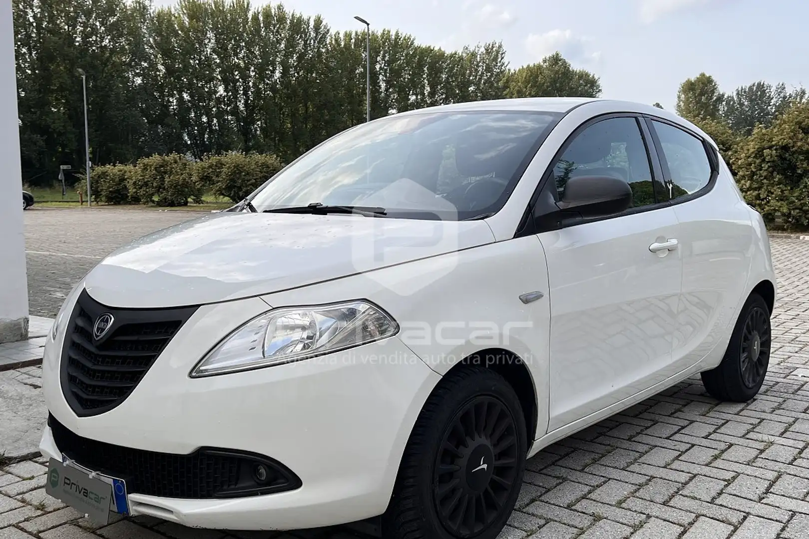 Lancia Ypsilon Ypsilon 1.2 69 CV 5 porte GPL Ecochic Elefantino Bianco - 1