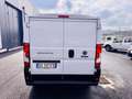 Fiat Ducato 140CV - EURO 6D - PASSO MEDIO TETTO BASSO KM 59.00 Bianco - thumbnail 8
