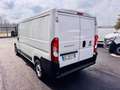 Fiat Ducato 140CV - EURO 6D - PASSO MEDIO TETTO BASSO KM 59.00 Bianco - thumbnail 7