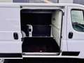 Fiat Ducato 140CV - EURO 6D - PASSO MEDIO TETTO BASSO KM 59.00 Bianco - thumbnail 9