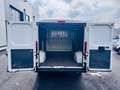 Fiat Ducato 140CV - EURO 6D - PASSO MEDIO TETTO BASSO KM 59.00 Bianco - thumbnail 11