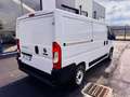Fiat Ducato 140CV - EURO 6D - PASSO MEDIO TETTO BASSO KM 59.00 Bianco - thumbnail 6