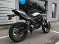 Kawasaki Argent - thumbnail 3