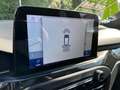 Ford Focus ST-Line Business Blanc - thumbnail 17