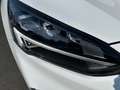 Ford Focus ST-Line Business Blanc - thumbnail 7