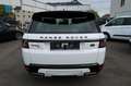 Land Rover Range Rover Sport SE Білий - thumbnail 8