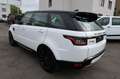Land Rover Range Rover Sport SE bijela - thumbnail 4