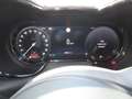 Alfa Romeo Tonale TI 160 PS Hybrid  AT Winter Navi HARMAN Kar Blanc - thumbnail 15