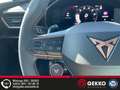 CUPRA Formentor VZ 5 Jahre Gar. +KAMERA+AHK+LED+ACC+PDC+elek. Heck Grau - thumbnail 22
