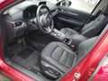 Mazda CX-5 CX-5 SKYACTIV-G 194 Aut. AWD Sports-Line Rot - thumbnail 10