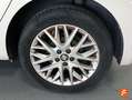 SEAT Ibiza 1.6TDI CR S&S Reference Plus 80 Blanco - thumbnail 14