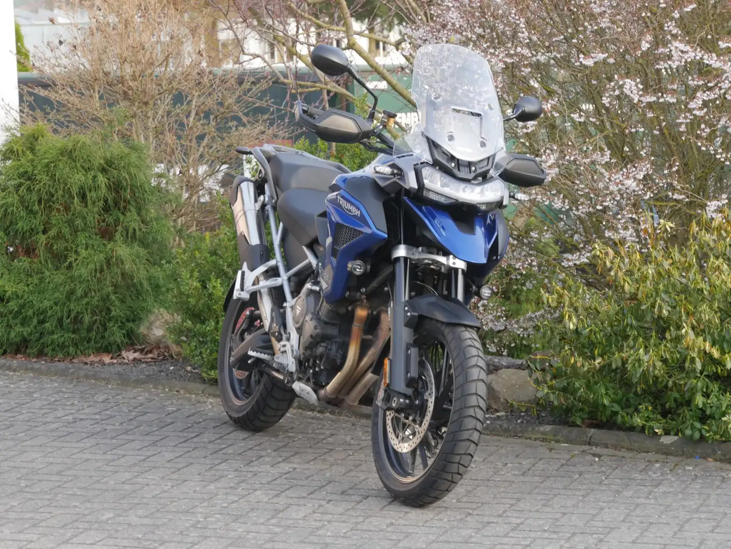 Triumph Tiger 1200 GT Pro Azul - 1