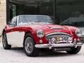 Austin-Healey 3000 MKIII BJ8 Rouge - thumbnail 25