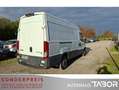 Iveco Daily 35 S 14 V Klimaautomatik Tempomat Weiß - thumbnail 3