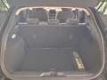 Ford Puma 1,0 EcoBoost Titanium Noir - thumbnail 9