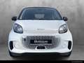 smart forTwo smart EQ fortwo Klima/Styling/Tempom./L-R Sensor Weiß - thumbnail 2