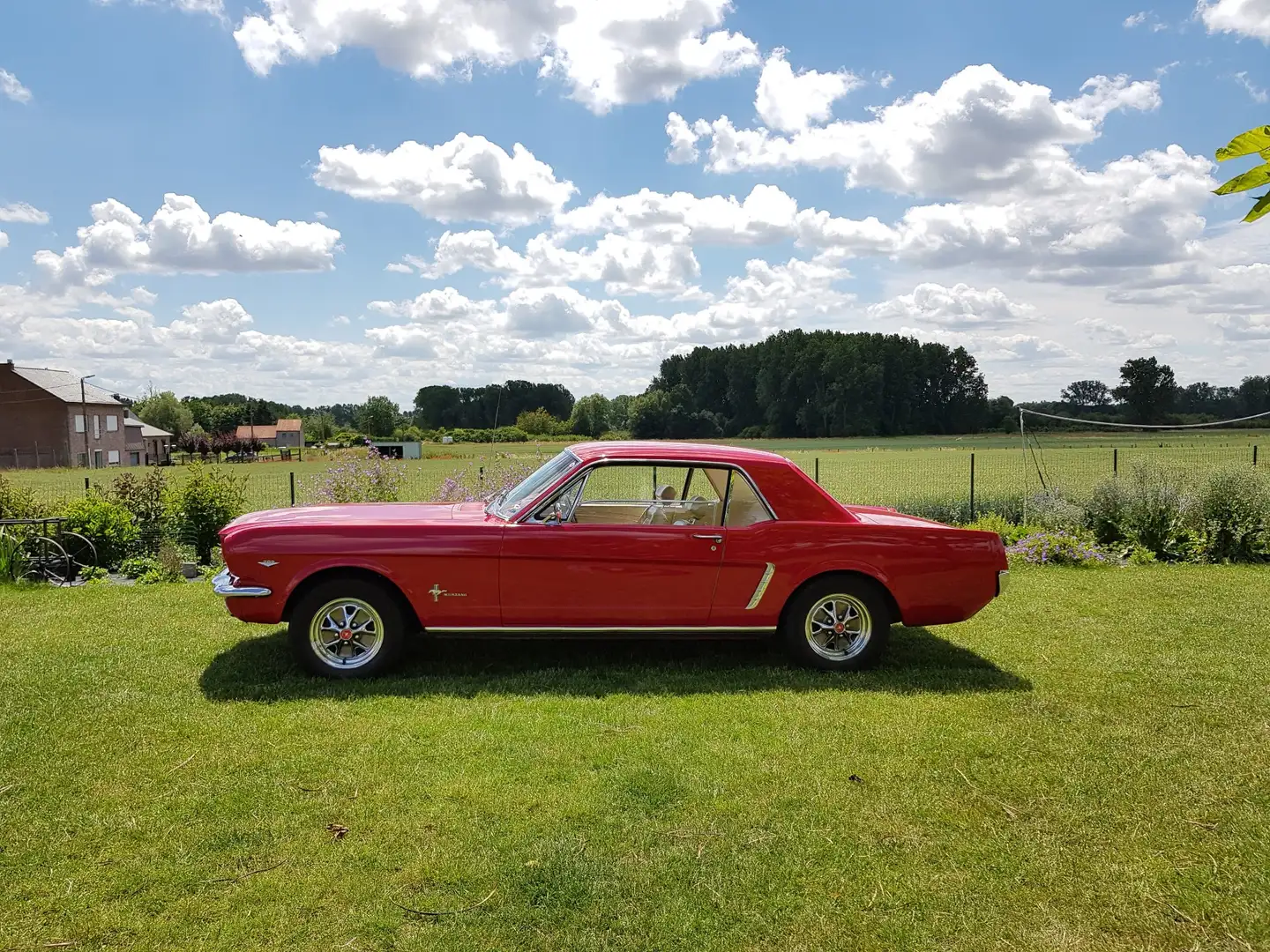 Ford M Mustang coupe V8 - 2