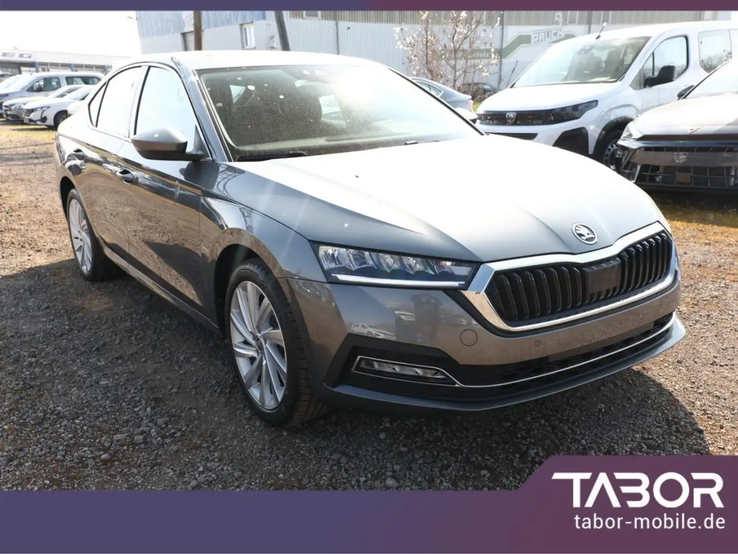 Skoda Octavia PHEV 204 DSG SideA ACC Kam SHZ Kessy 18Z Grau - 2