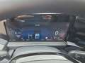 Ford Transit Custom Kasten 2,5 PHEV L1H1 320 Sport Aut. Grau - thumbnail 12