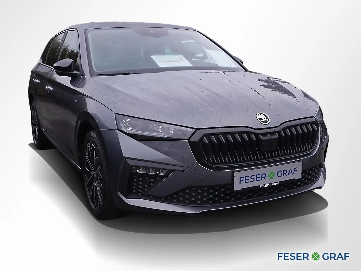 Skoda Scala 1.0 TSI Tour DSG Matrix RüKa Smart Link Grau - 2