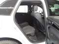 Audi Q5 40 TDI qu S Line Int Pano,AHK,Kamera,Matrix,Leder, Weiß - thumbnail 10